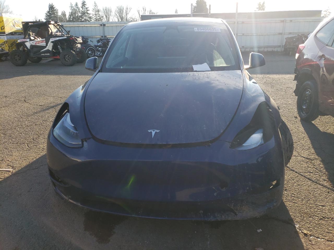 2023 TESLA MODEL Y  VIN:7SAYGDEF2PF642186