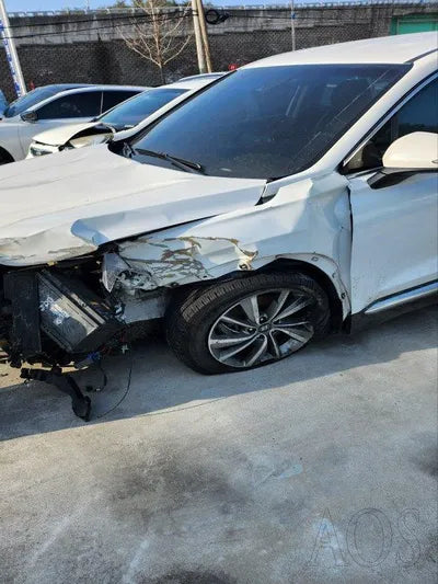 2019 Hyundai Santa FE VIN: