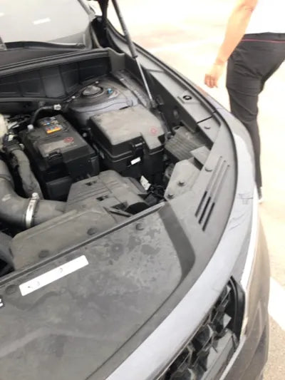 2022 Kia Sorento KNARM81FGNA147321 VIN:KNARM81FGNA147321