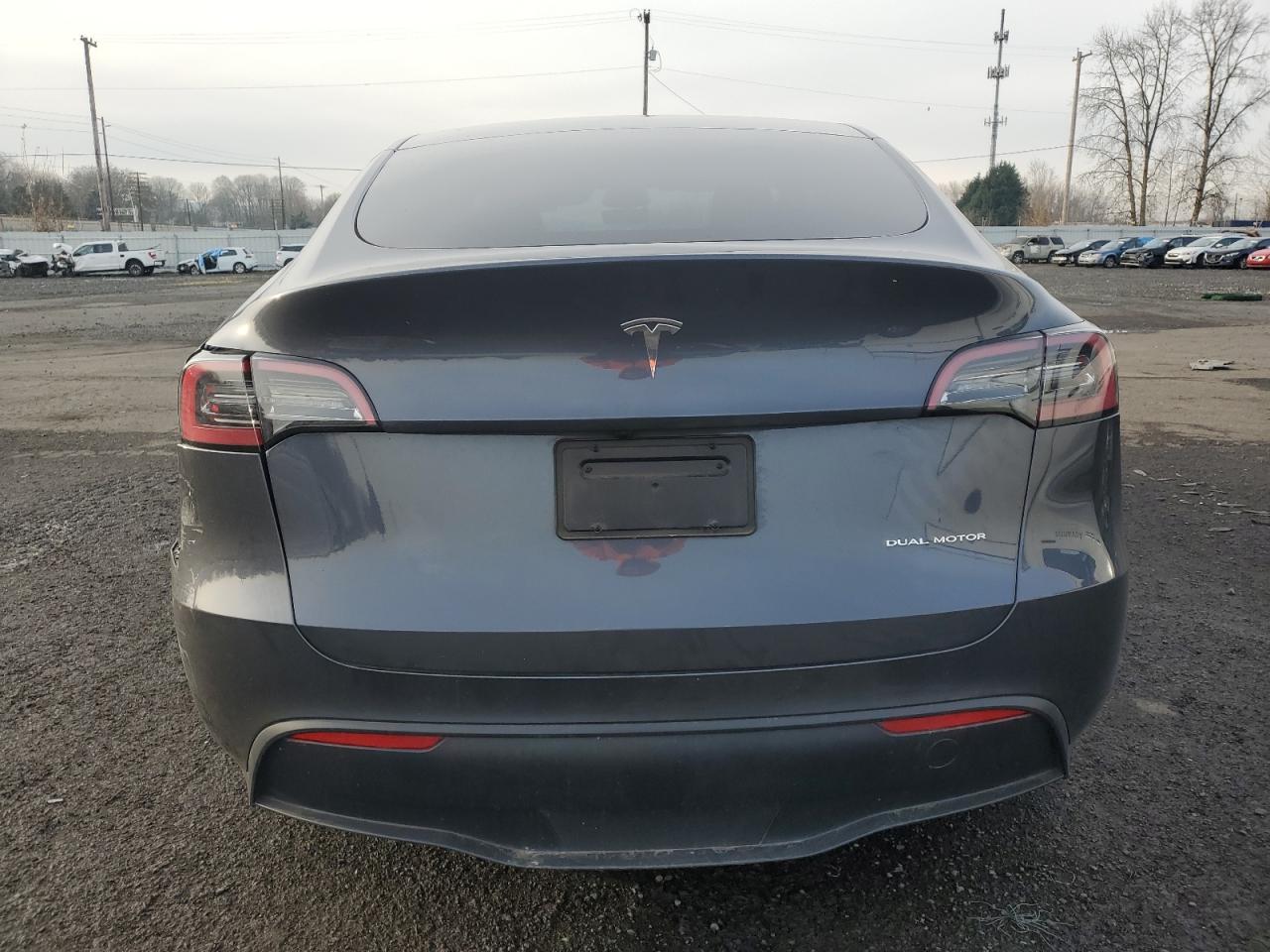 2023 TESLA MODEL Y  VIN:7SAYGDEE3PF905891