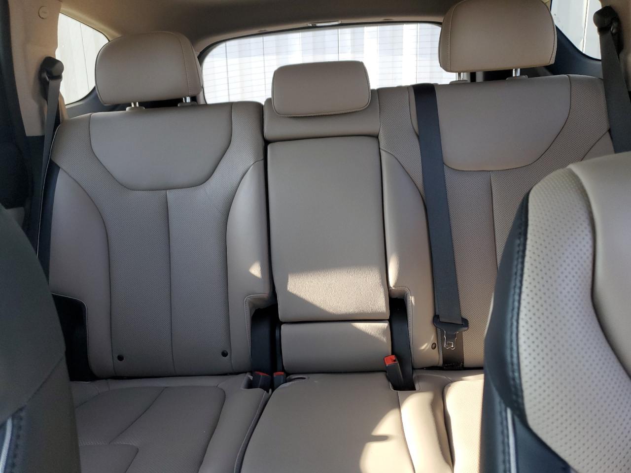 2023 HYUNDAI SANTA FE LIMITED VIN:5NMS5DA14PH017113