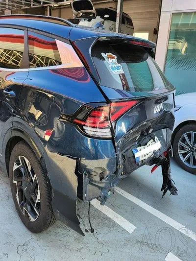 2021 Kia Sportage KNAPV81BGNK009172 VIN:KNAPV81BGNK009172