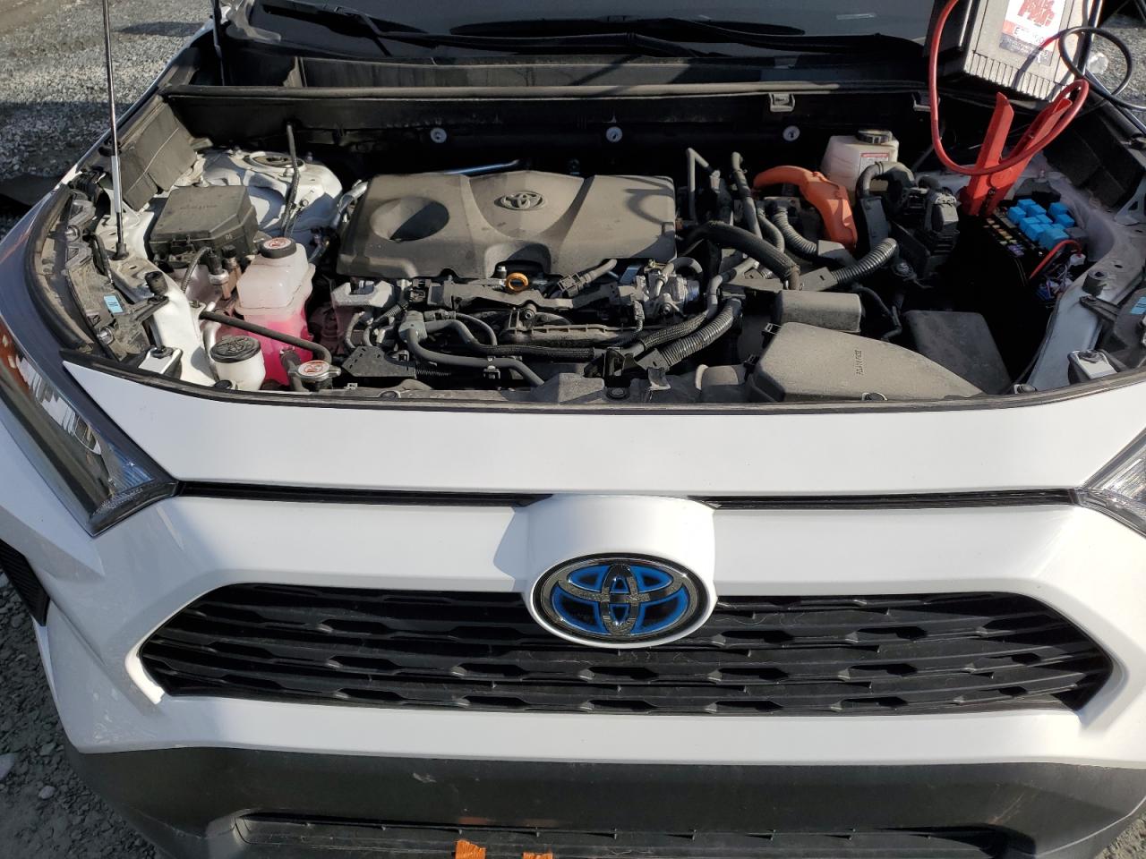 2022 TOYOTA RAV4 LE VIN:2T3BWRFV1NW143556