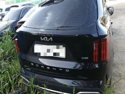 2022 Kia Sorento KNARL81GBNA094591 VIN:KNARL81GBNA094591