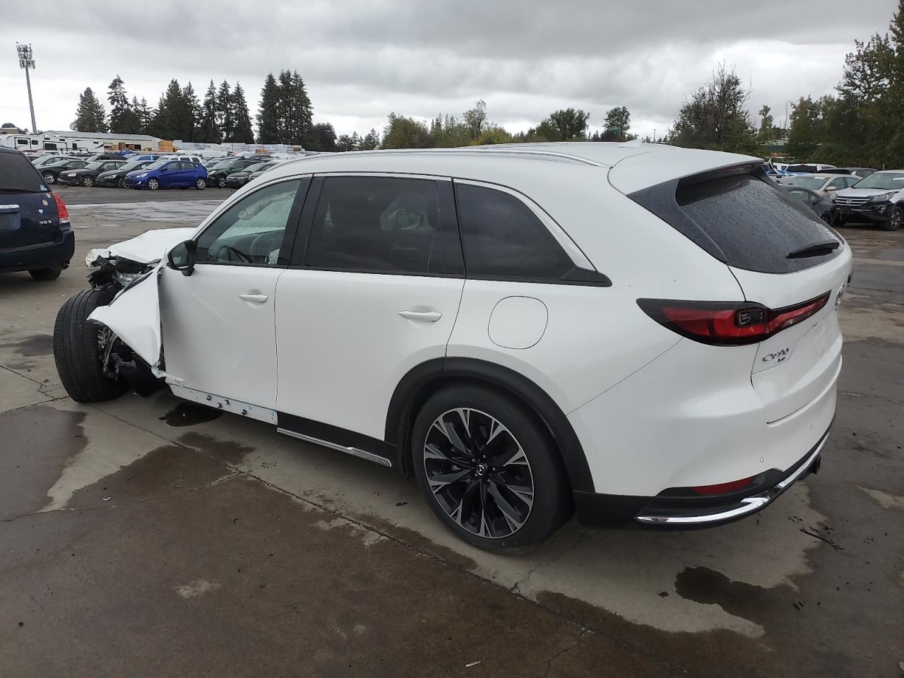 2024 MAZDA CX-90 PREMIUM PLUS VIN:JM3KKEHA2R1107384