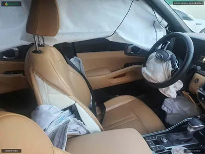 2020 Kia Sorento KNARM81BGMA049603 VIN:KNARM81BGMA049603
