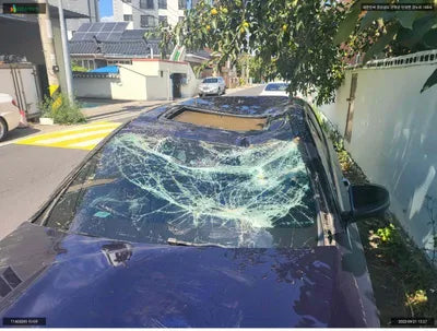 2021 Mercedes-Benz E 220 W1KZF0FB4MA869561 VIN:W1KZF0FB4MA869561