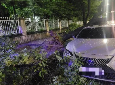 2018 Lexus ES 300 VIN: