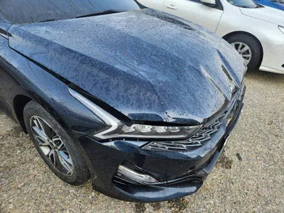 2020 Kia K5 KNAG241ABLA071042 VIN:KNAG241ABLA071042