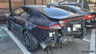 2021 Kia Stinger KNAE551CDMS104692 VIN:KNAE551CDMS104692