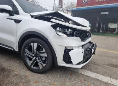 2023 Kia Sorento KNARJ81GBPA204006 VIN:KNARJ81GBPA204006