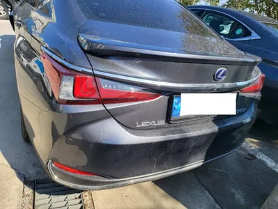 2022 Lexus ES 300 JTHBA1C17N2007828 VIN:JTHBA1C17N2007828