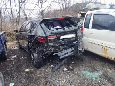 2017 Hyundai Santa FE KMHSW81UBJU827590 VIN:KMHSW81UBJU827590