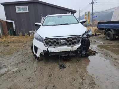 2019 Kia Sorento KNAPH811DLA630874 VIN:KNAPH811DLA630874