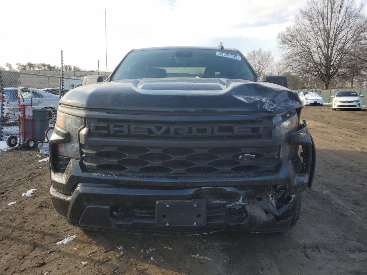 2022 CHEVROLET SILVERADO K1500 CUSTOM VIN:3GCPDBEK8NG501391