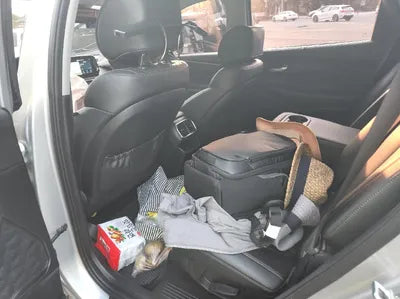 2019 Hyundai Santa FE KMHS381BBKU156411 VIN:KMHS381BBKU156411