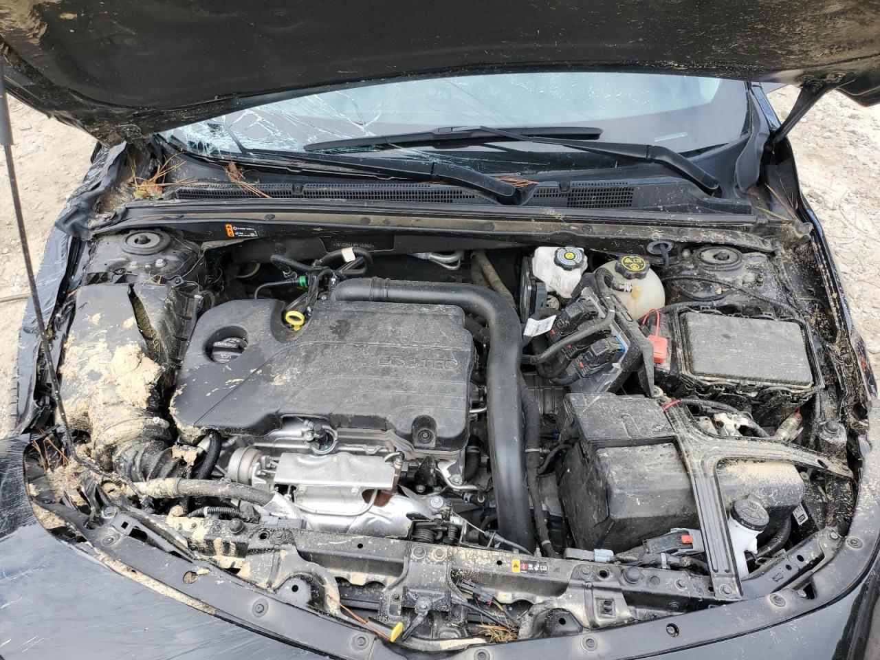 2023 CHEVROLET MALIBU LT VIN:1G1ZD5ST9PF193927