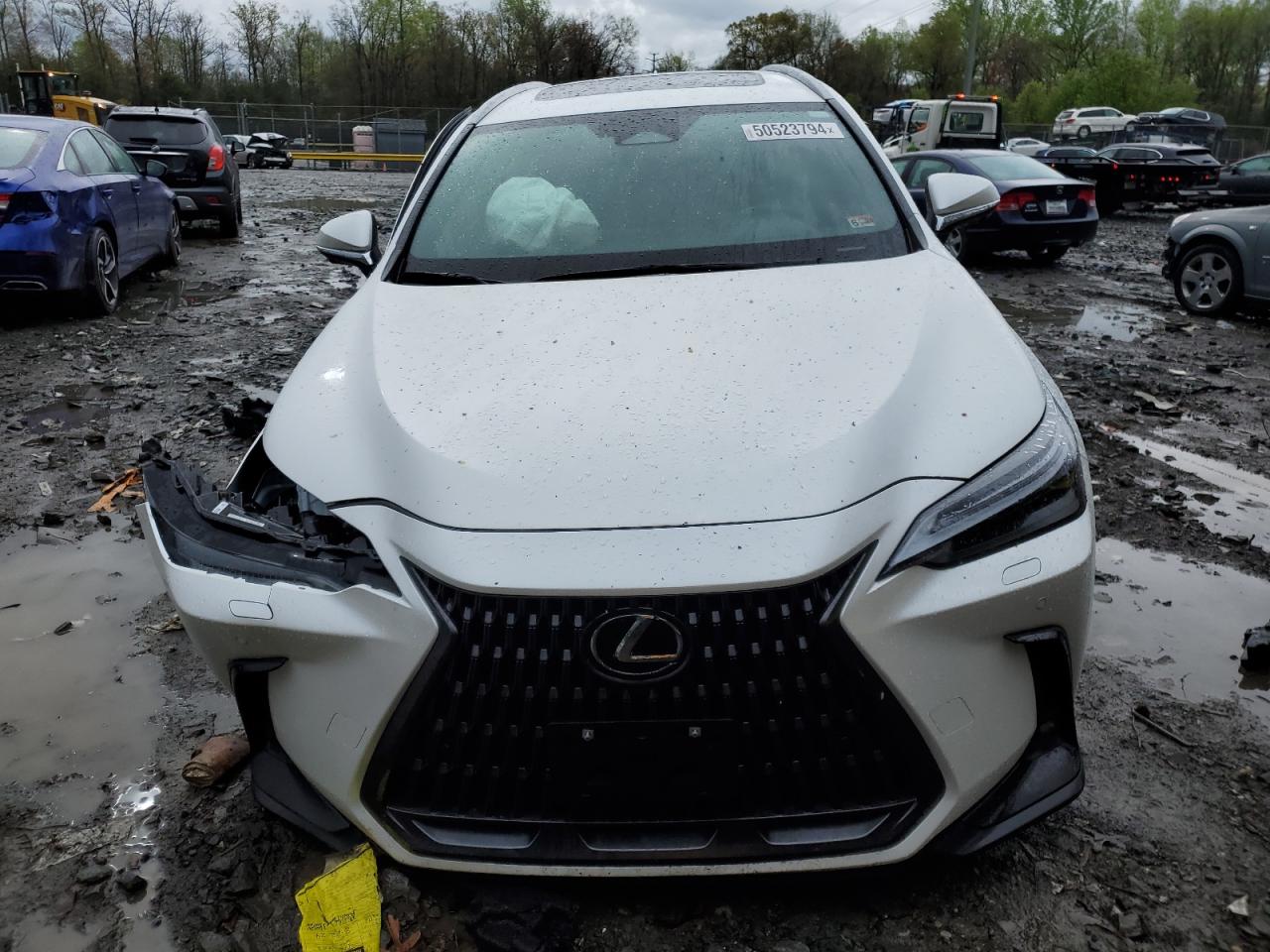 2024 LEXUS NX 350 LUXURY VIN:2T2HGCEZ3RC035721