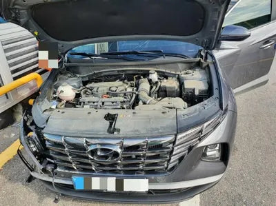 2021 Hyundai Tucson KMHJC81BGMU009847 VIN:KMHJC81BGMU009847