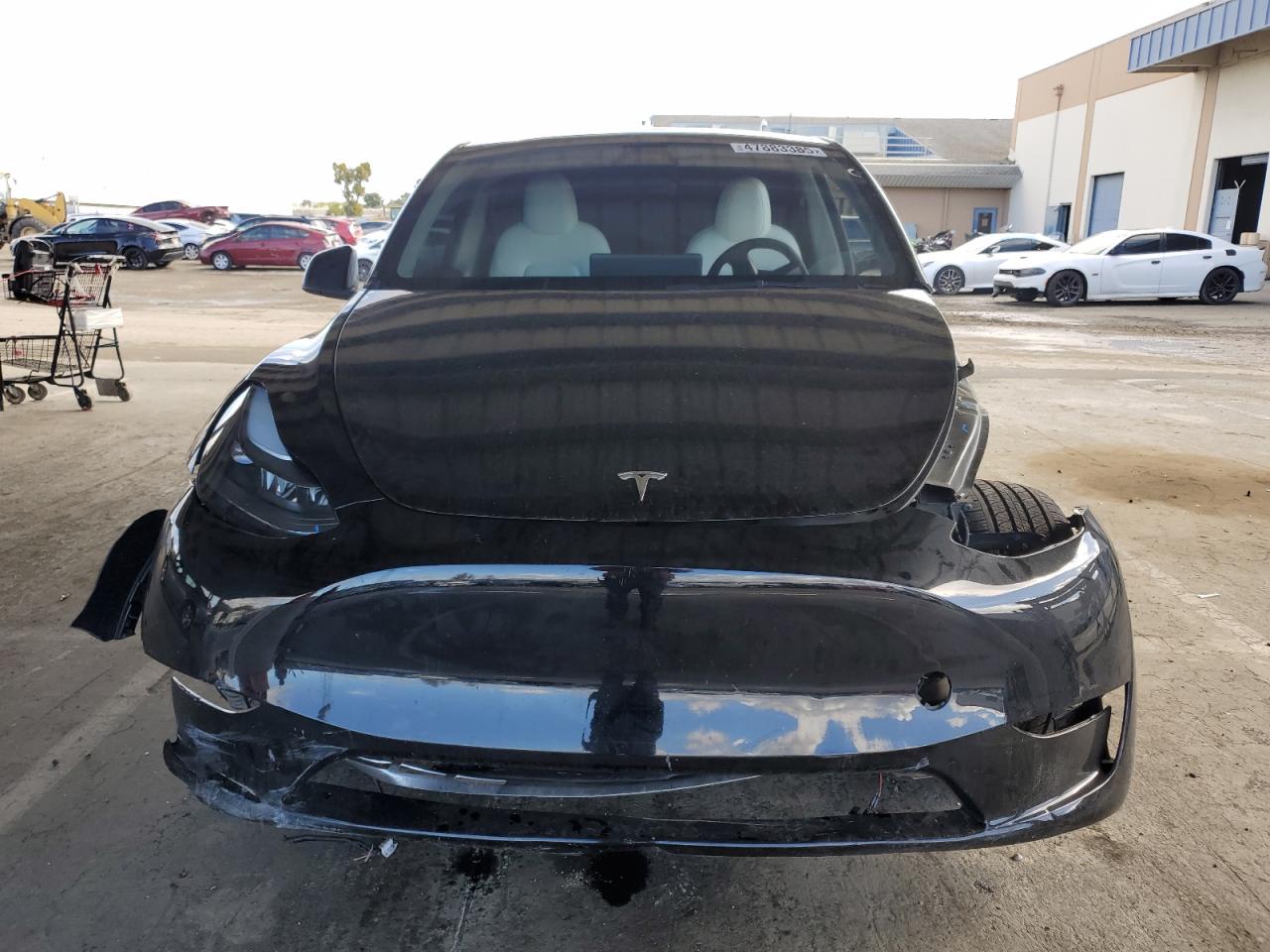 2023 TESLA MODEL Y  VIN:7SAYGDEE3PF938230