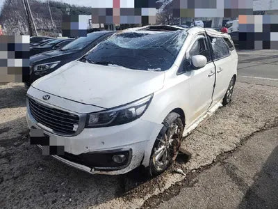 2015 Kia Carnival KNAMC81ABFS051941 VIN:KNAMC81ABFS051941