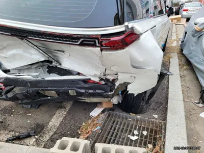 2021 Kia Carnival KNANC81BBMS057431 VIN:KNANC81BBMS057431