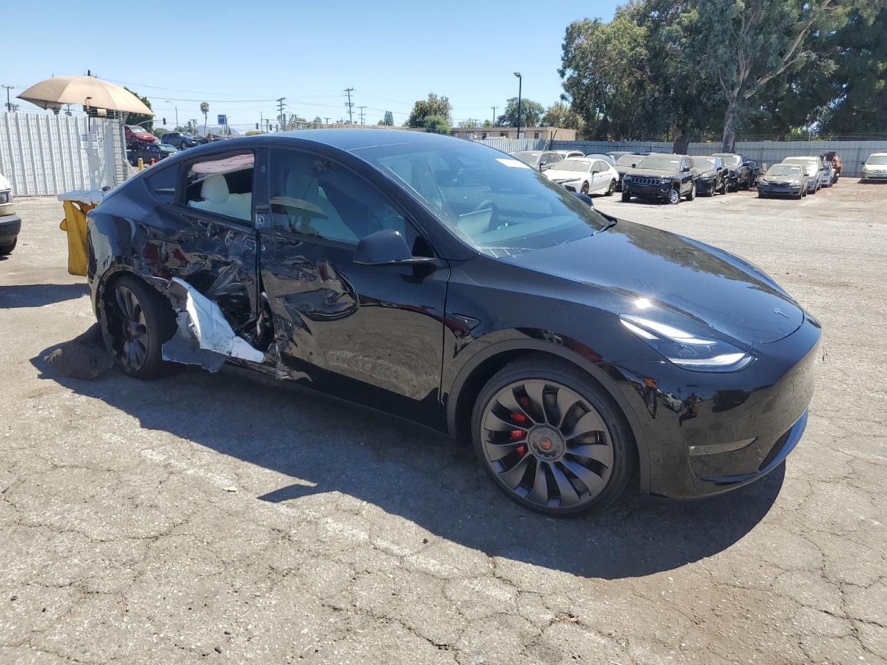 2024 TESLA MODEL Y  VIN:7SAYGDEFXRF128976