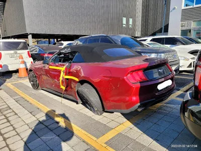 2019 Ford Mustang 1FATP8UH3K5196891 VIN:1FATP8UH3K5196891
