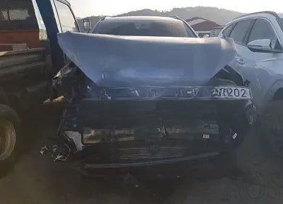 2020 Hyundai Kona KMHK2817GLU509082 VIN:KMHK2817GLU509082