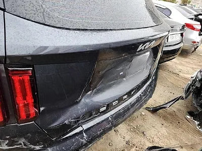 2022 Kia Sorento KNARH81GBNA101047 VIN:KNARH81GBNA101047