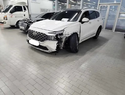 2022 Hyundai Santa FE KMHS5811DNU020565 VIN:KMHS5811DNU020565