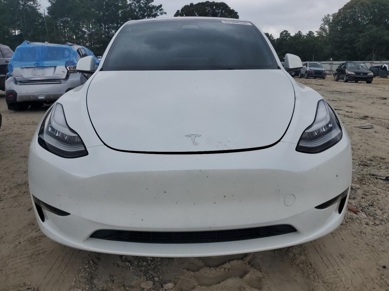 2023 TESLA MODEL Y  VIN:7SAYGDEEXPA030127