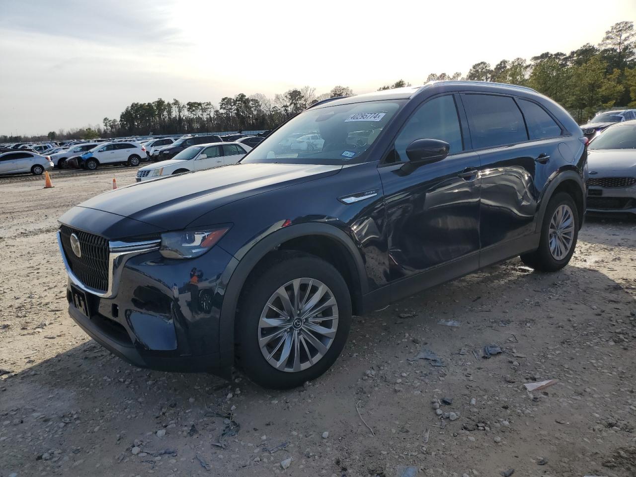 2024 MAZDA CX-90 PREFERRED VIN:JM3KKBHA4R1124380