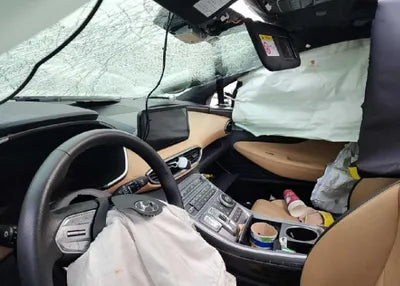 2021 Hyundai Santa FE KMHS581HGMU396744 VIN:KMHS581HGMU396744