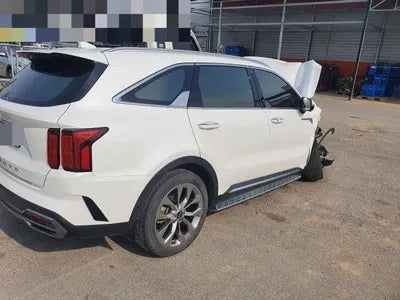 2020 Kia Sorento KNARK81BGMA038540 VIN:KNARK81BGMA038540