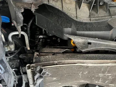 2021 Kia Carnival KNANC81BBMS029359 VIN:KNANC81BBMS029359
