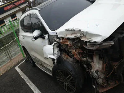 2019 Hyundai Santa FE KMHS581CDKU124309 VIN:KMHS581CDKU124309