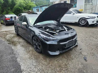 2017 Kia Stinger VIN: