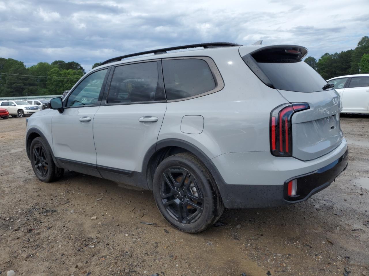 2024 KIA TELLURIDE SX VIN:5XYP5DGC4RG467307