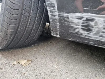 2019 Genesis G80 VIN: