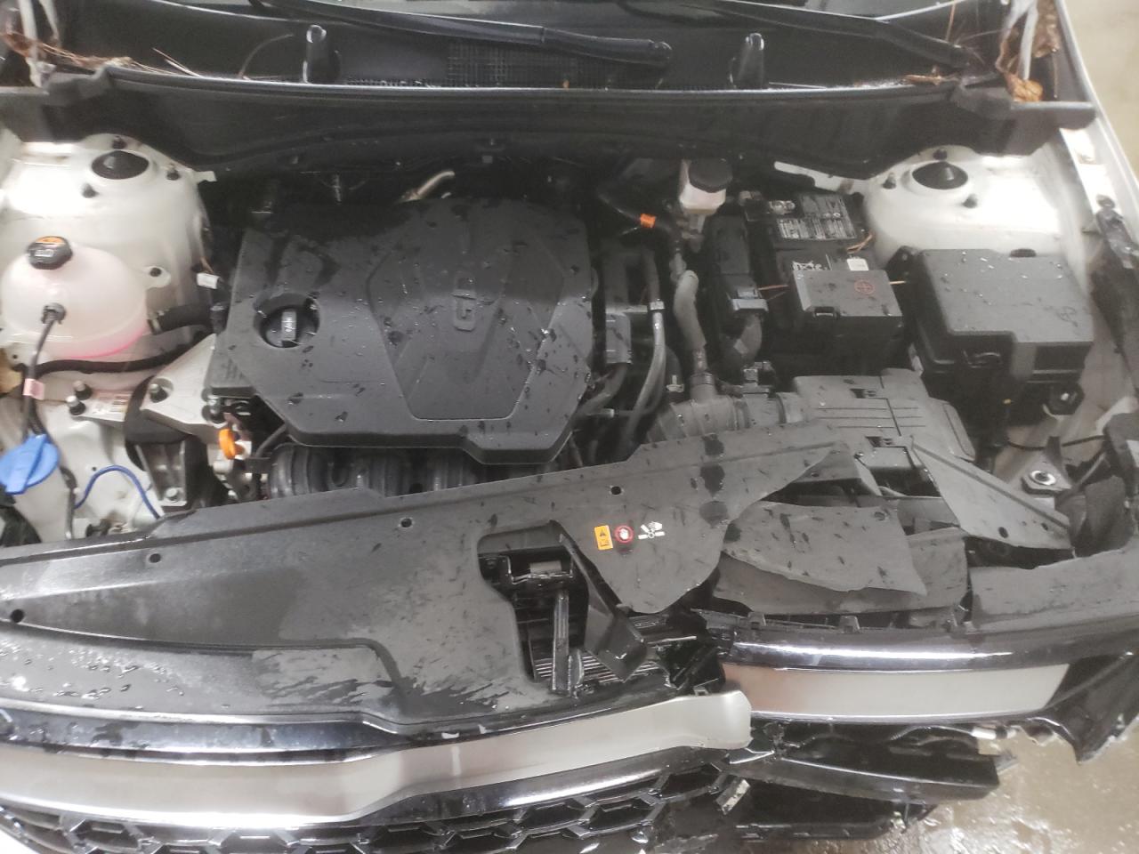 2023 KIA SPORTAGE X LINE VIN:5XYK6CAF1PG032925