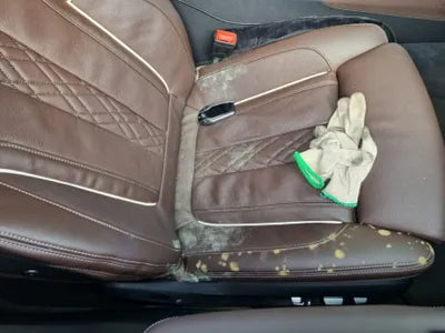 2021 BMW 530 WBA51AG0XMCG61893 VIN:WBA51AG0XMCG61893