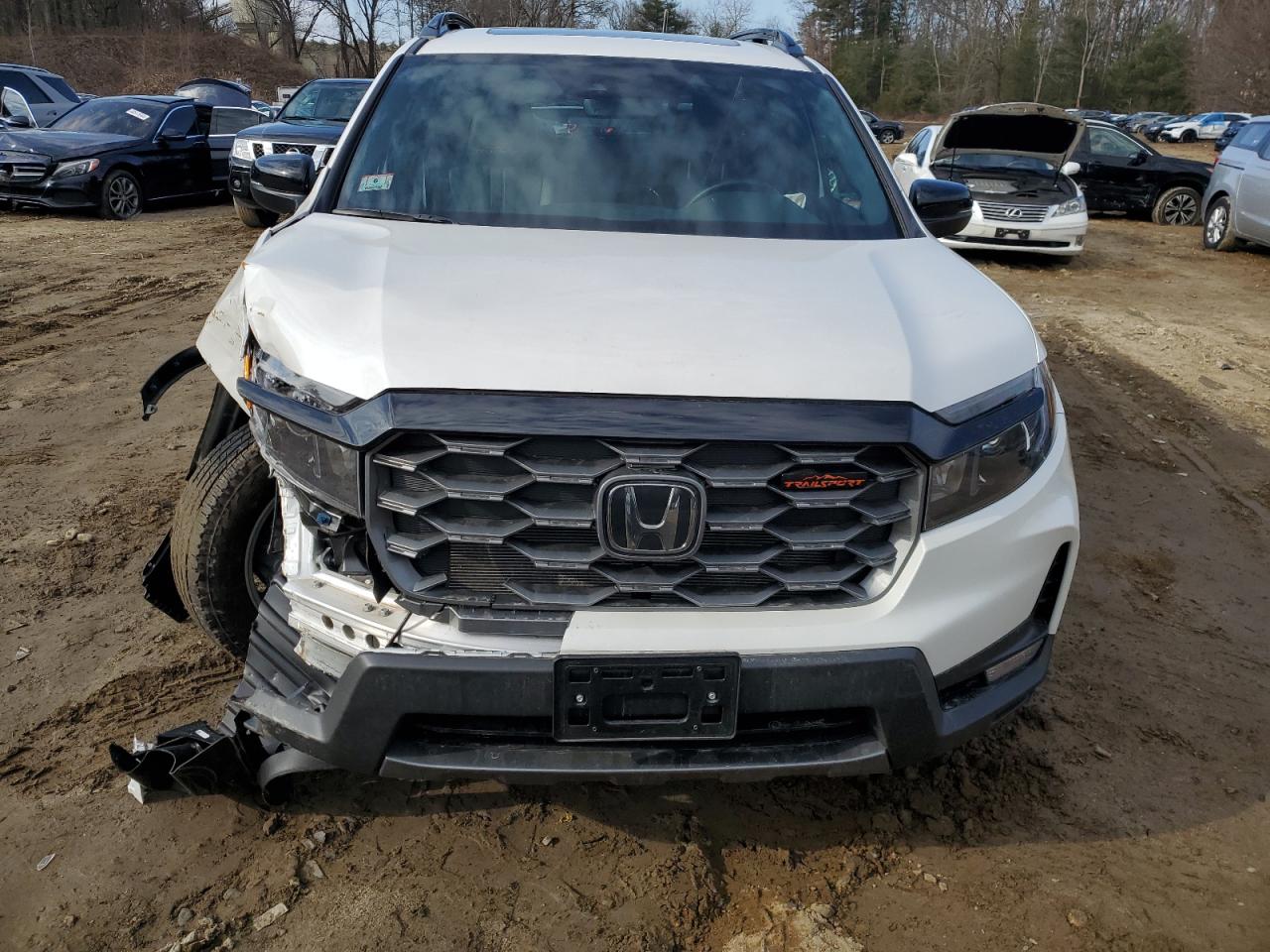 2023 HONDA PASSPORT TRAIL SPORT VIN:5FNYF8H69PB024690