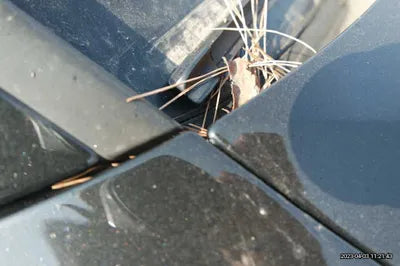 2016 Audi A6 WAUZZZ4G7GN171055 VIN:WAUZZZ4G7GN171055