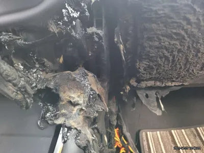 2020 Tesla Model 3 5YJ3E1EA5LF756516 VIN:5YJ3E1EA5LF756516
