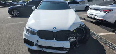 2019 BMW 520 WBAJF5106LWW56233 VIN:WBAJF5106LWW56233