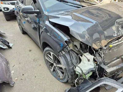 2019 Hyundai Kona KMHK4815GKU409949 VIN:KMHK4815GKU409949