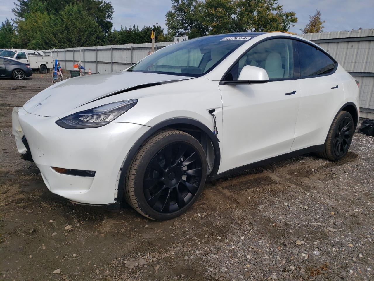 2023 TESLA MODEL Y  VIN:7SAYGDEE6PA148420