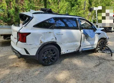 2022 Kia Sorento KNARM81FHNA155884 VIN:KNARM81FHNA155884