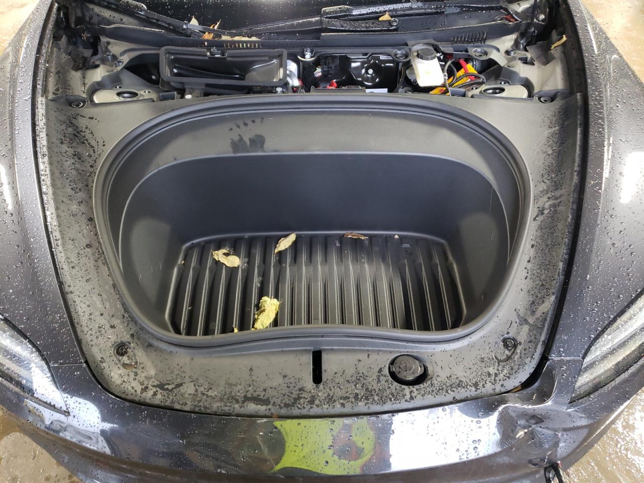 2024 TESLA MODEL 3  VIN:5YJ3E1EA3RF836910